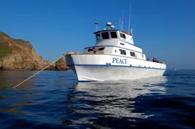 Channel Islands Boat Trip [Nov 24 2024]