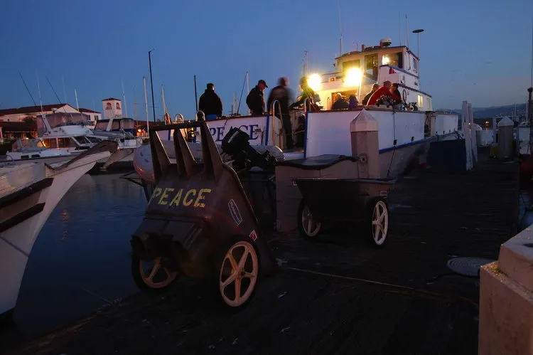 Channel Islands Boat Trip [Sept 8 2024]