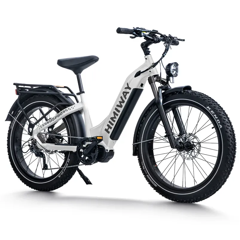 Himiway 500W 48V D5 Pro ST Premium All-Terrain Mid-Drive Fat Tire Step-Thru Electric Bike