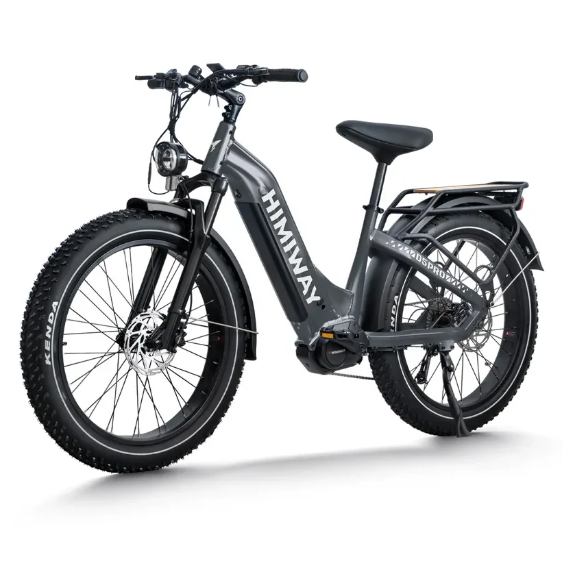 Himiway 500W 48V D5 Pro ST Premium All-Terrain Mid-Drive Fat Tire Step-Thru Electric Bike