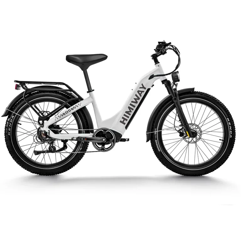 Himiway 500W 48V D5 Zebra ST Premium All-Terrain Fat Tire Step-Thru Electric Bike