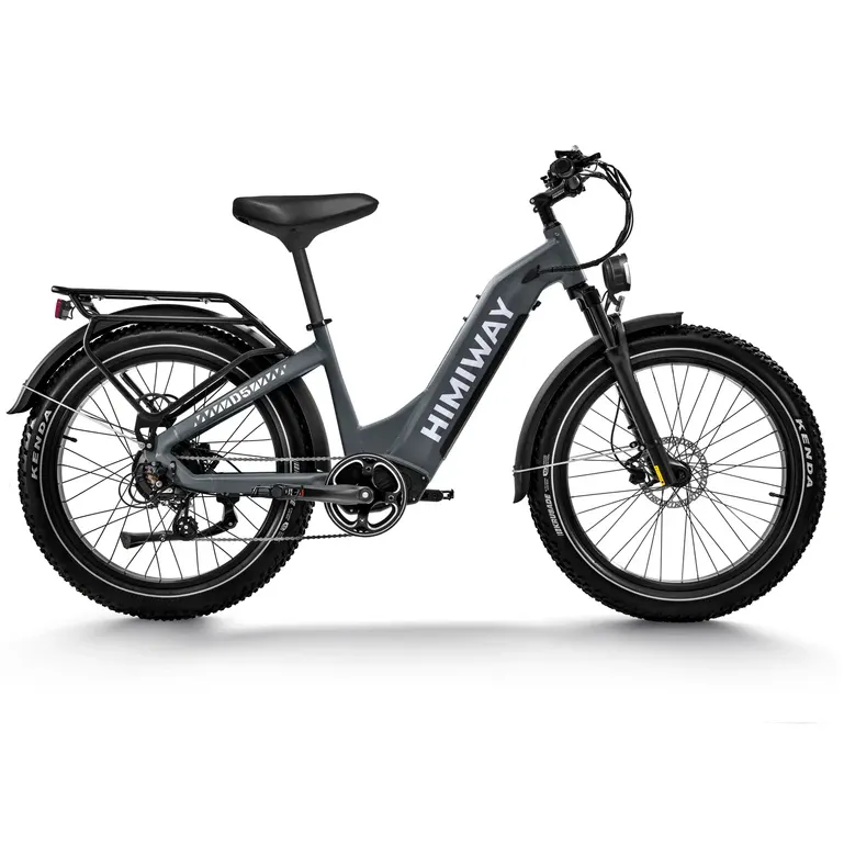 Himiway 500W 48V D5 Zebra ST Premium All-Terrain Fat Tire Step-Thru Electric Bike