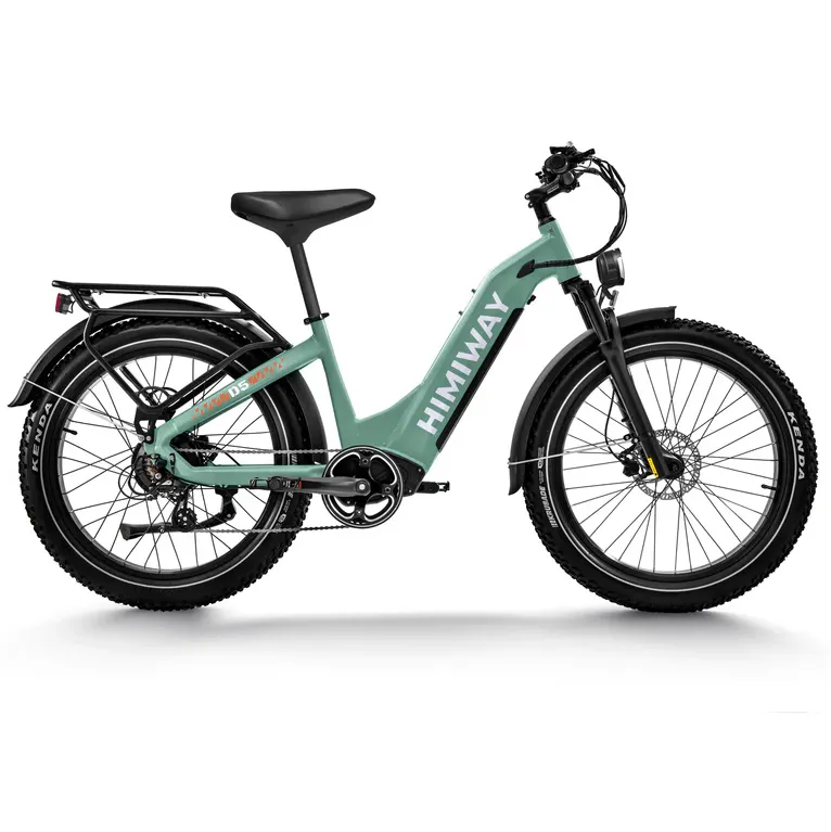 Himiway 500W 48V D5 Zebra ST Premium All-Terrain Fat Tire Step-Thru Electric Bike