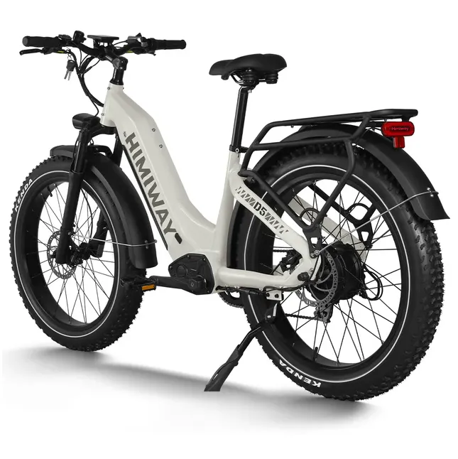 Himiway 500W 48V D5 Zebra ST Premium All-Terrain Fat Tire Step-Thru Electric Bike