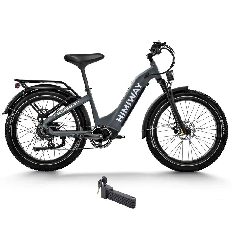 Himiway 500W 48V D5 Zebra ST Premium All-Terrain Fat Tire Step-Thru Electric Bike