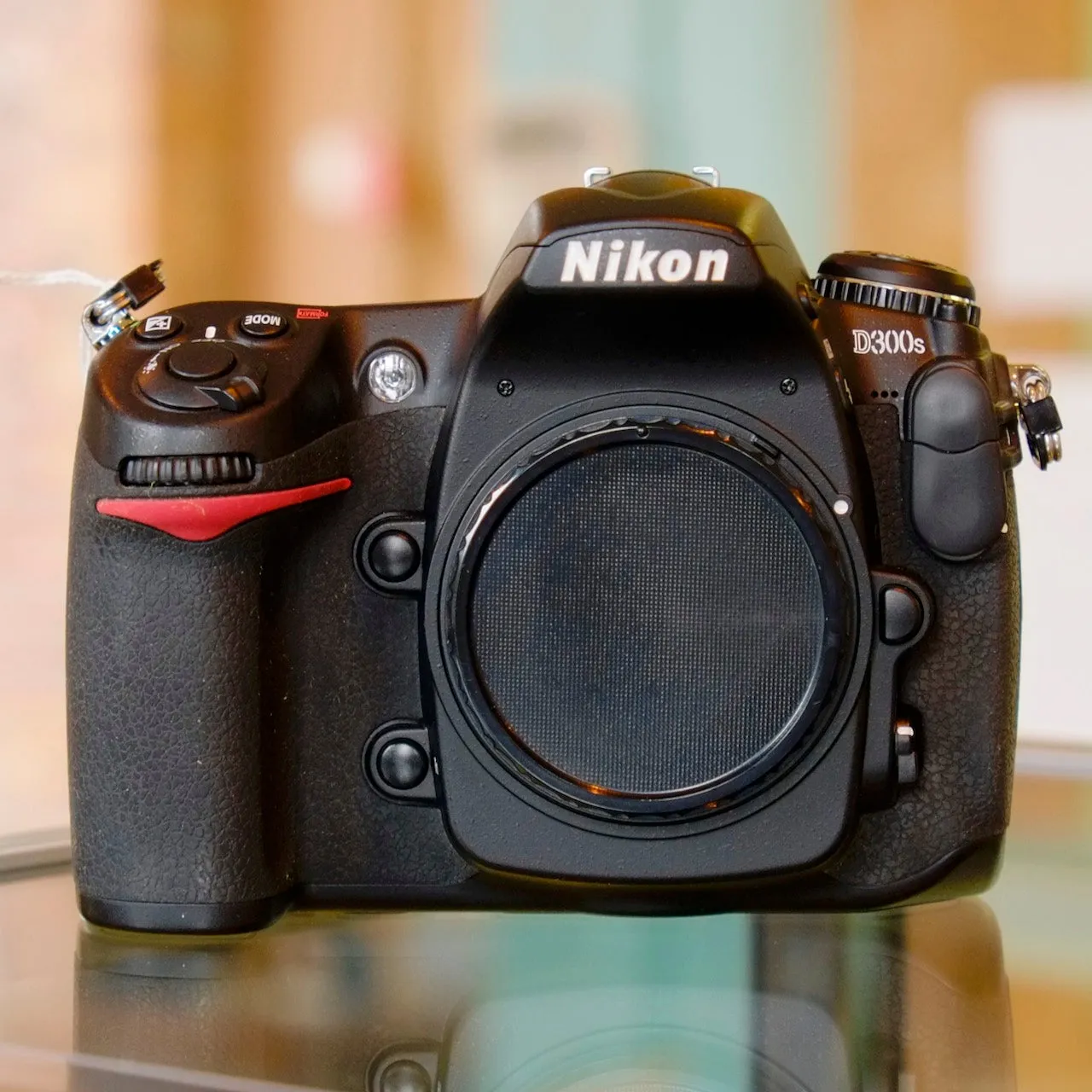 Nikon D300s