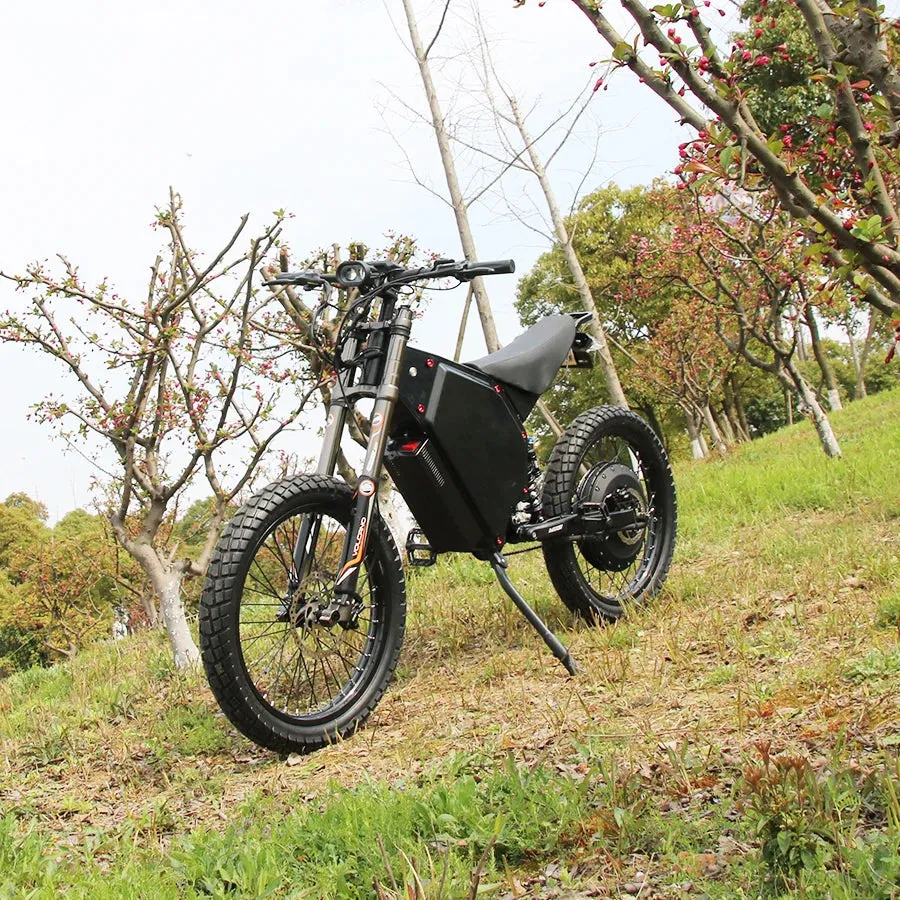 Powerful Mountain Beast Off-Road Adventure Electric Bike